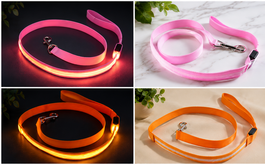 Glowing LED Dog Leash